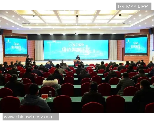 成都羽毛球队运营分析：成功经验与发展挑战的深度探讨