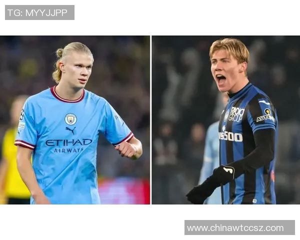 霍伊伦的传奇人生与时代变迁中的不屈精神探索