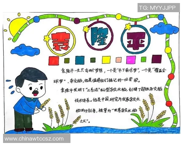 田宇翔的成长之路：从学子到行业领军者的奋斗故事与启示