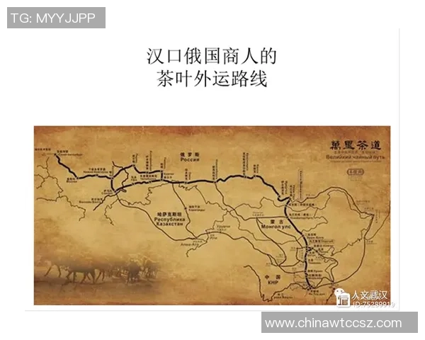 赖斯的外交智慧与全球战略影响力的深度解析与探讨 赖斯的外交智慧与全球战略影响力的深度解析与探讨