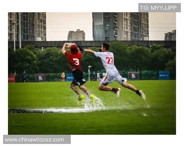 南京飞盘队的崛起与奋斗：探索飞盘运动的魅力与团队精神