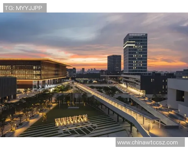 深圳排球队的转型升级之路探索与未来展望