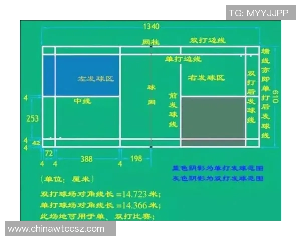 西安羽毛球队战术解析与提升策略探讨之路