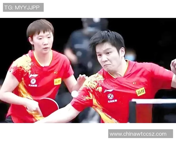 乒乓球的奋斗与荣耀：广州乒乓球队成长历程的真实记录与感悟